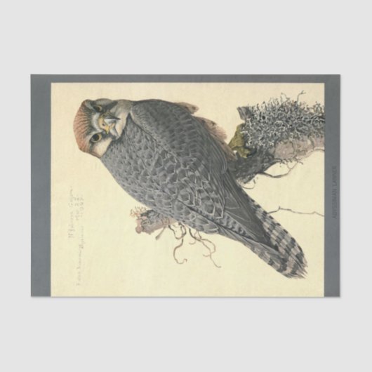 Bird Ephemera Decoupage Falcon Tissuepapier (Voorkant)