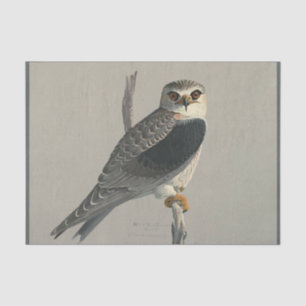 Bird Ephemera Decoupage Grey Hawk Tissuepapier