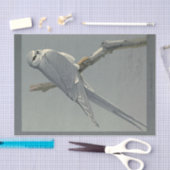 Bird Ephemera Decoupage Grey Hawk Tissuepapier (Craft)