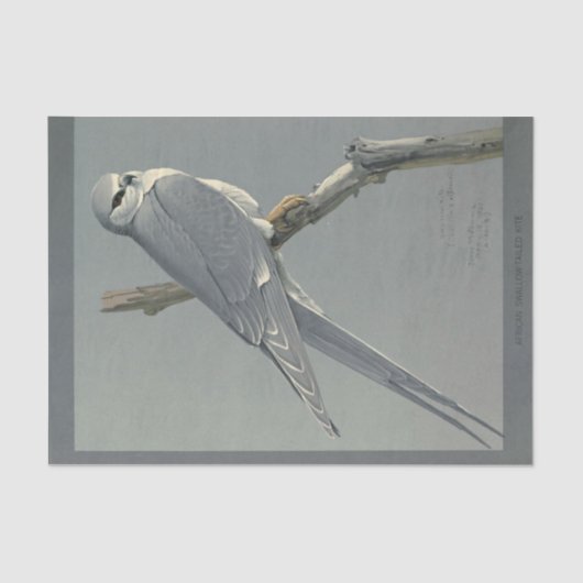 Bird Ephemera Decoupage Grey Hawk Tissuepapier (Voorkant)