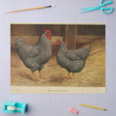 Bird Ephemera Decoupage Haan Hen Barn Tissuepapier (Craft)