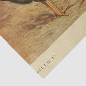 Bird Ephemera Decoupage Haan Hen Barn Tissuepapier (Detail)