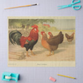 Bird Ephemera Decoupage Haan Hen Boerderij Tissuepapier (Craft)