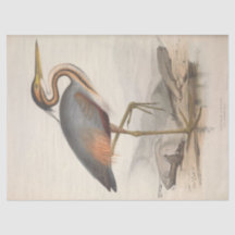 Bird Ephemera Decoupage  Heron Nautical