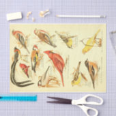 Bird Ephemera Decoupage Kardinaal Tissuepapier (Craft)