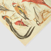 Bird Ephemera Decoupage Kardinaal Tissuepapier (Detail)