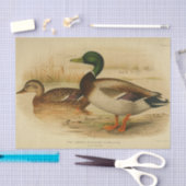 Bird Ephemera Decoupage Mallard Duck Tissuepapier (Craft)