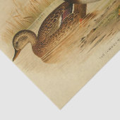 Bird Ephemera Decoupage Mallard Duck Tissuepapier (Detail)