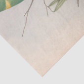 Bird Ephemera Decoupage  Tortelduifjes Tissuepapier (Detail)