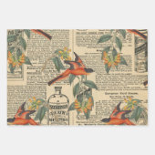 Bird Ephemera Decoupage Wrapping Paper (Voorkant)