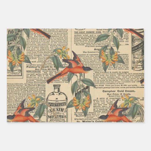 Bird Ephemera Decoupage Wrapping Paper (Voorkant)