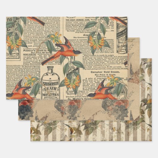  Bird Ephemera Decoupage Wrapping Paper (Set)