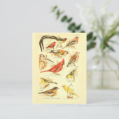 Bird Ephemera ontkoppeling Kardinaal Kunst Briefkaart (Staand voorkant)