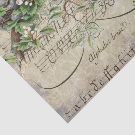 Bird Ephemera ontleedblad Tissuepapier (Detail)