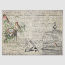 Bird Ephemera ontleedblad
