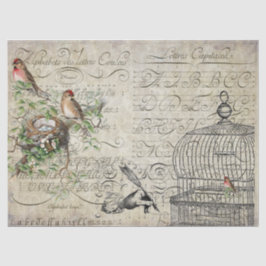 Bird Ephemera ontleedblad Tissuepapier