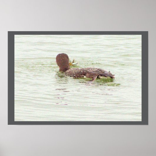 Bird Fishing in Ocean Poster (Devant)