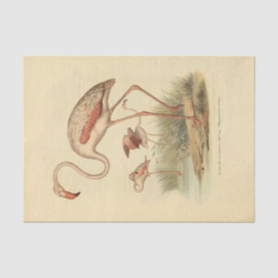 Bird Flamingo Ephemera Decoupage Tissuepapier