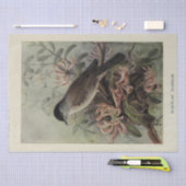 Bird Floral Ephemera Decoupage  Warbler Tissuepapier (Craft)