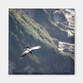 Bird Fly MAGNET (Devant)