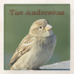 Bird Foto Familienaam Brown House Sparrow Glazen Onderzetter