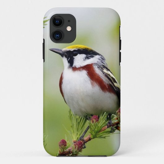 Bird grey_iphone Case-Mate iPhone case (Achterkant)
