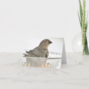 Bird in a Bowl - Carte de voeux vierge