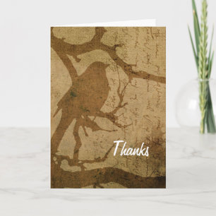 Bird in A Branch, Merci