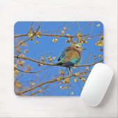 Bird in Tree and Blue Sky Photo Muismat (Met muis)