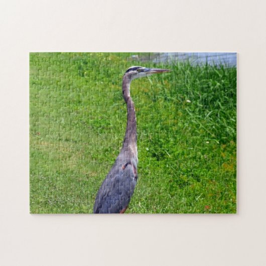 Bird Lookout Legpuzzel (Horizontaal)