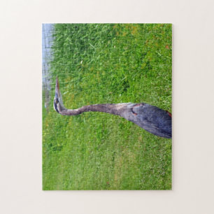 Bird Lookout Legpuzzel
