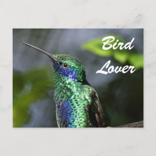 Bird Lover Briefkaart