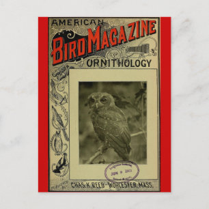 Bird Magazine jun 8 1903 Briefkaart
