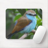 Bird Mousepad Muismat (Met muis)