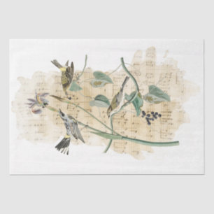 Bird Music Iris Flower Waterverf Decoupage Craft Tissuepapier