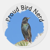 Bird Nerd  Black Starling Cactus Birdwatcher