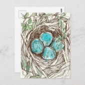Bird Nest Blue Robin Eggs Spring Ink Tekening Briefkaart (Voorkant / Achterkant)