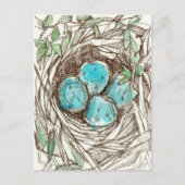 Bird Nest Blue Robin Eggs Spring Ink Tekening Briefkaart (Voorkant)