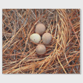 Bird Nest Brown Eggs Old  Antiek Retro Cadeaupapier (Vlak)