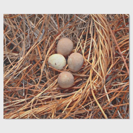 Bird Nest Brown Eggs Old  Antiek Retro Cadeaupapier (Vlak)