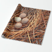 Bird Nest Brown Eggs Old  Antiek Retro Cadeaupapier (Uitgerold)