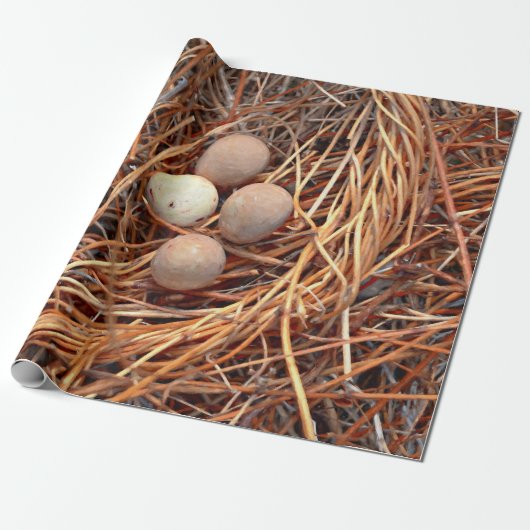 Bird Nest Brown Eggs Old  Antiek Retro Cadeaupapier (Uitgerold)