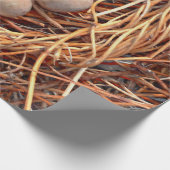 Bird Nest Brown Eggs Old  Antiek Retro Cadeaupapier (Hoek)