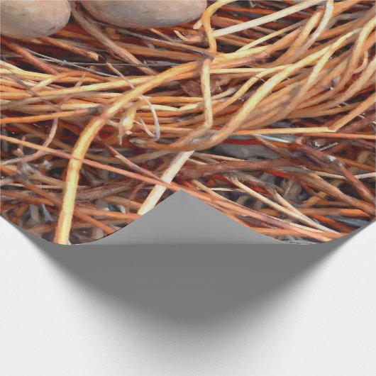 Bird Nest Brown Eggs Old  Antiek Retro Cadeaupapier (Hoek)