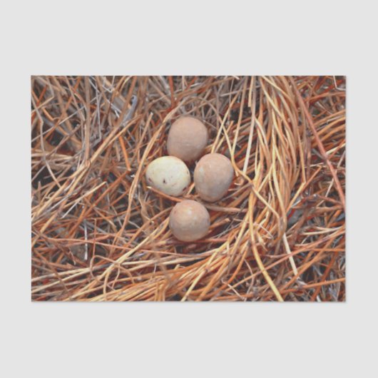 Bird Nest Brown Eggs Old  Antiek Retro Tissuepapier (Voorkant)
