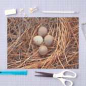 Bird Nest Brown Eggs Old  Antiek Retro Tissuepapier (Craft)