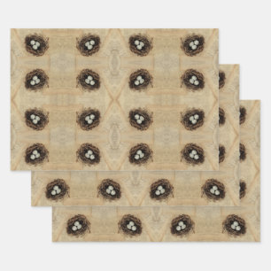 Bird Nest Old  Antiek Brown Eggs Inpakpapier Vel