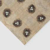 Bird Nest Old  Antiek Brown Eggs Tissuepapier (Detail)