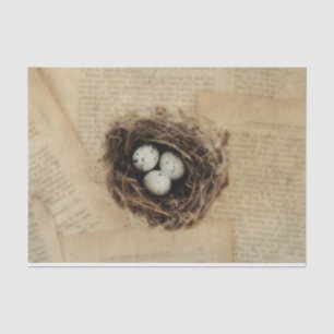 Bird Nest Old  Antiek Retro Brown Eggs Tissuepapier