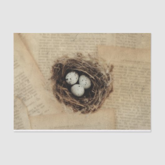 Bird Nest Old  Antiek Retro Brown Eggs Tissuepapier (Voorkant)